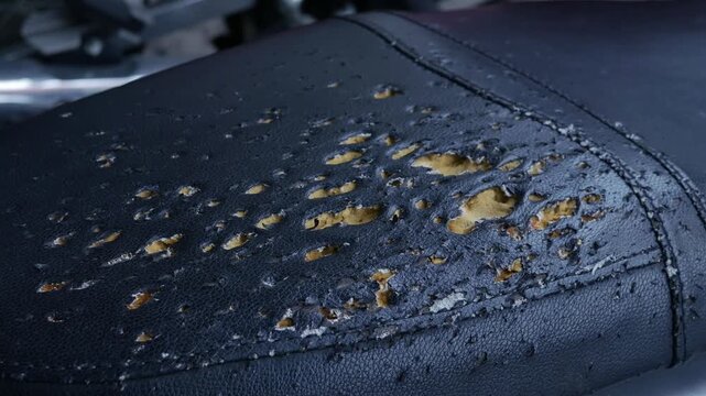 Closeup worn deteriorated motorcycle seat with cracked torn black vinyl exposing orange foam decay texture urban abandoned