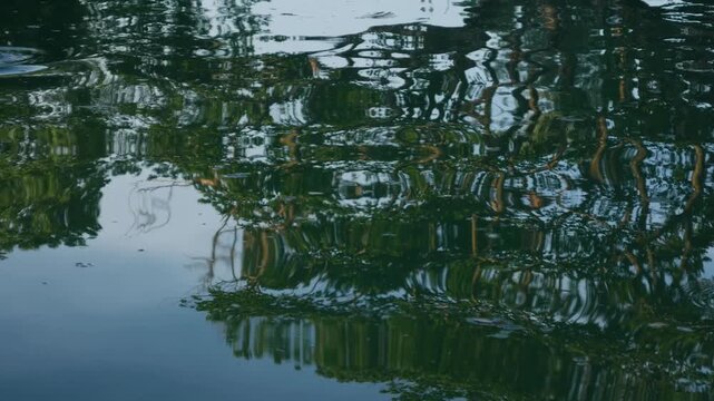 Colorful tropical trees and sky reflecting in rippled pond water surface creating abstract impressionist green blue yellow pattern in park