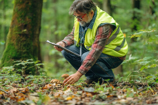 Gathering information, reading from notepad. Senior forest ecologist is working in the woods. In the uniform