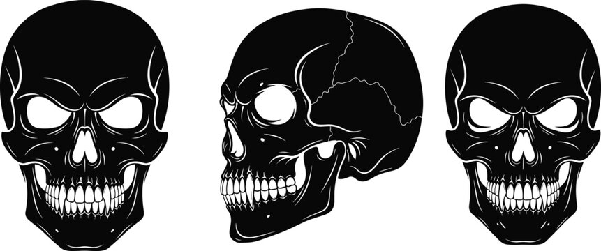 Black and white skull silhouette vector illustration showing front and side anatomical views, gothic style human skull design, dark aesthetic graphic for tattoo, Halloween, anatomy concept