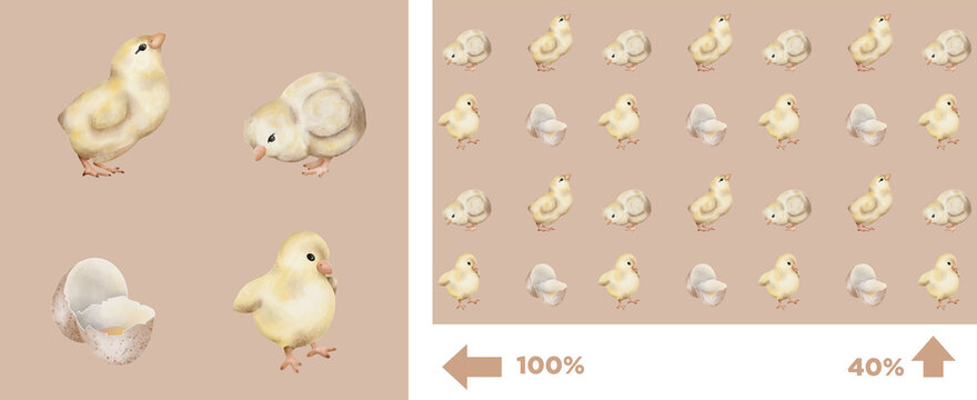 Chicks and eggs on a light background showing various stages of development and grouping patterns