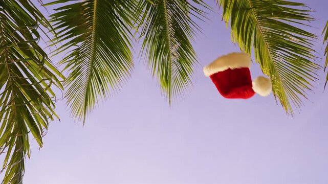 Slow Motion Santa Hat Floating Between Tropical Palm Leaves Against a Clear Sky, Festive Christmas Mood in a Warm Exotic Paradise