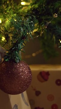 Vertical video. Playful Siamese Cat Chewing Christmas Tree Branches Among Glowing Holiday Lights and Wrapped Gifts, Curious Pet Behavior, Cozy Winter Home and Festive Fun