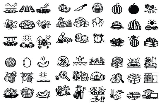 Agriculture and farming design icons with watermelon, basket and farmer for infographic design in minimal outline style