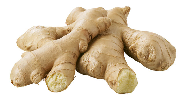 Raw ginger root with textured brown skin, isolated on transparent background