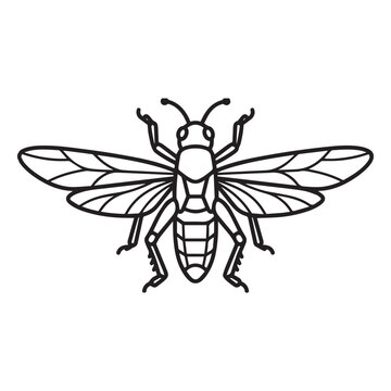 Black and White grashopper Outline Vector Icon