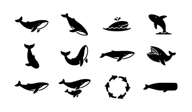 Minimalist black and white whale silhouettes collection featuring flat vector icons of humpback blue and killer whales isolated on white background