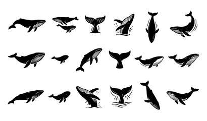 Detailed black and white whale silhouettes collection featuring hand drawn style vector icons isolated on a white background © Abdullahall