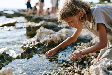 Fototapeta premium A child is carefully interacting with sea creatures in tide pools, capturing the essence of childhood curiosity and the beauty of ocean exploration at a tranquil seaside.