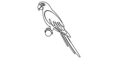 Continuous single line drawing of a tropical macaw parrot sitting on a perch © Ponchomy