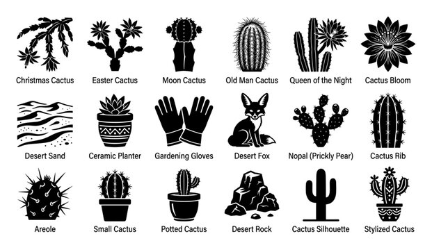 Set of unique cactus plants desert wildlife and gardening accessories icons for botanical projects