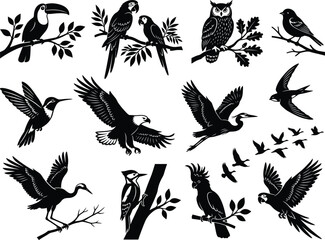 Fototapeta premium Collection of black silhouette bird on white background, toucan