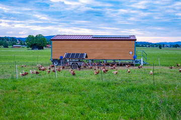 mobile chicken coop wheels solar panels roof, Free range hens natural sustainable farming practices, animal freedom green pasture, electric fence, free range eggs, organic agriculture, rural landscape © kittyfly