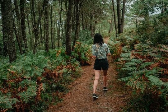 Young Woman Hiking Alone on Forest Trail Surrounded by Ferns and Pine Trees