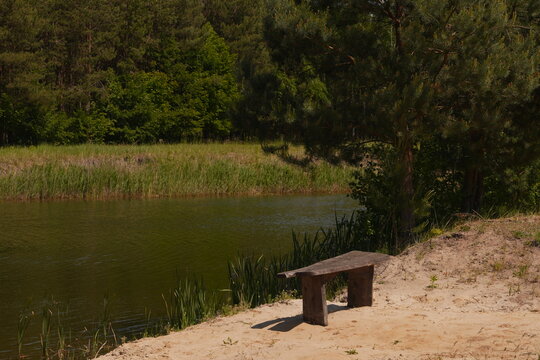 Empty Wooden Bench on Sandy Lakeshore with Green Forest Background for Peaceful Nature Relaxation and Summer Travel Escape