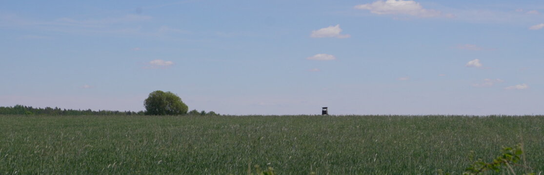Lone Figure Contemplating Vast Green Field Under Expansive Blue Sky with Scattered Clouds Rural Landscape Peaceful Solitude