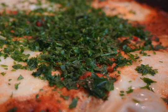 Close Up of Baked Pasta Casserole with Melted White Cheese Red Tomato Sauce and Fresh Green Parsley Garnish for Food Photography