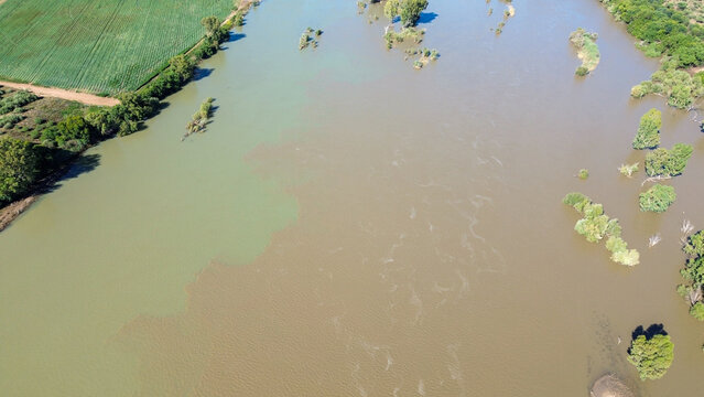 Aerial view of the confluence of the Vaal river and the Orange river south of the town of Douglas, Northern Cape, where brown and green river water merge