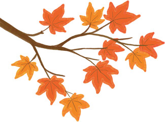 Fototapeta premium Cute maple tree branch with orange autumn leaves, hand drawn crayon style foliage vector