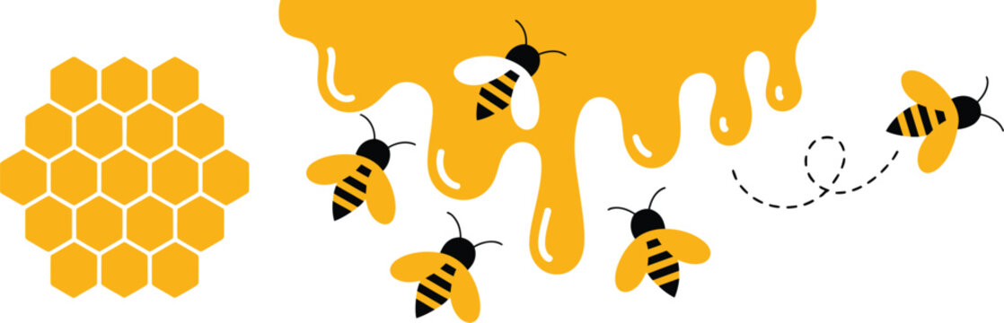 Bee and Honeycomb icons representing honeybee bumblebee flight path honey production pollination and beekeeping concepts vector