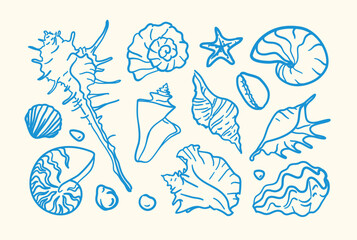 A charming collection of various, intricately detailed blue seashells in a linear style. Murex shell, nautilus, scallops, bivalves, cowrie, starfish, conch. Great for beach branding and stickers © norrhin