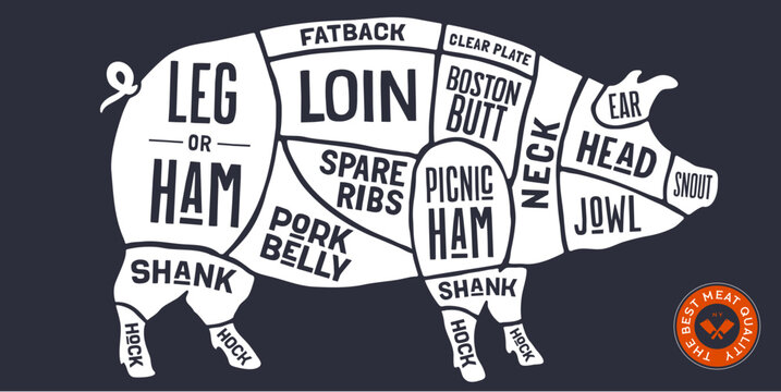 Pig, Pork, hand-drawn butcher cuts meat guide. Chalkboard butcher beef chart pig silhouette scheme, pig cuts chart butcher shop poster diagram, meat guide pork cuts chart. Vector illustration