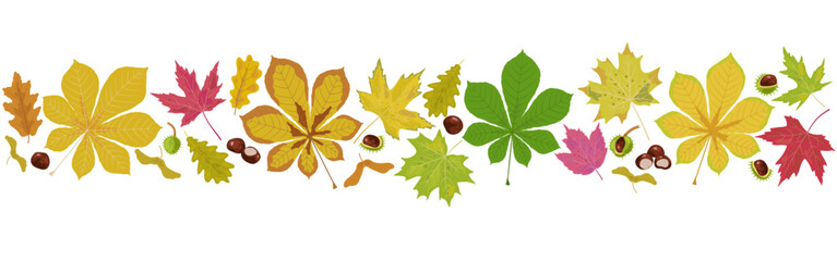 Graphic horizontal repeat ribbon vector design for greeting cards and packaging with chestnuts © Euler