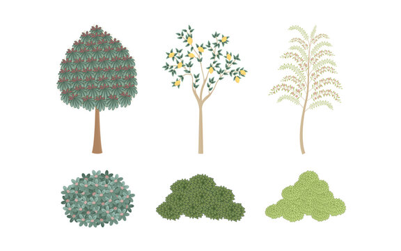 A culturally inspired retro tree design that reflects the grandeur and heritage of a royal kingdom.