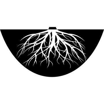 Underground Tree Roots Vector Illustration