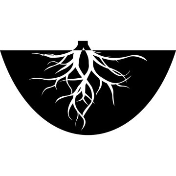 Underground Tree Roots Vector Illustration