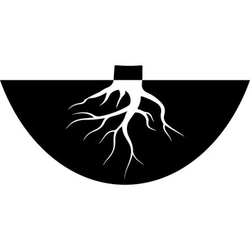 Plant Root System Vector Illustration
