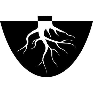 Underground Tree Roots Vector Illustration