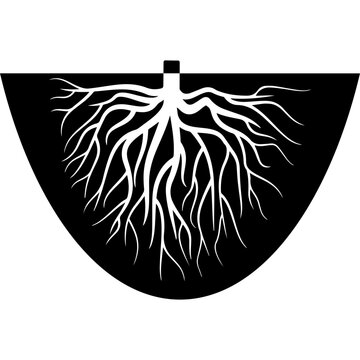 Tree Root System Vector Illustration