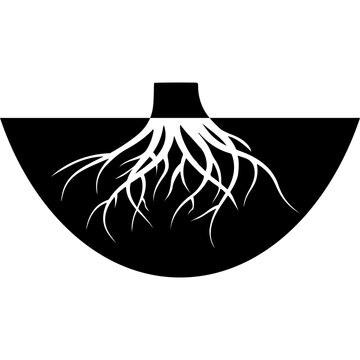 Plant Root System Vector Illustration