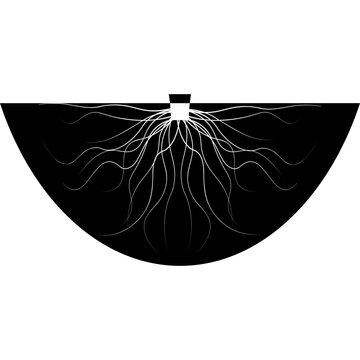 Tree Root System Vector Illustration