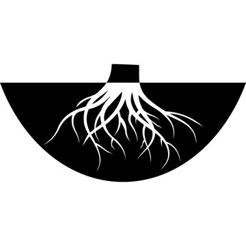 Tree Root System Vector Illustration