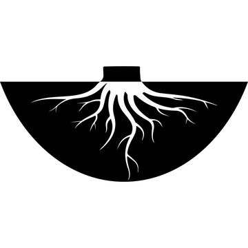 Plant Root System Vector Illustration