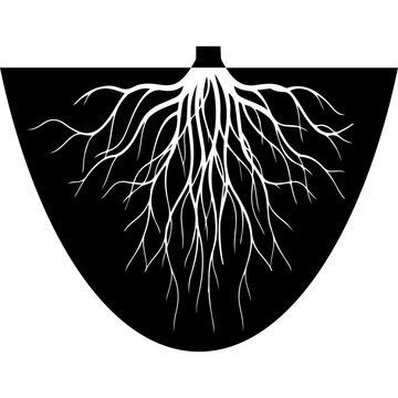 Plant Root System Vector Illustration