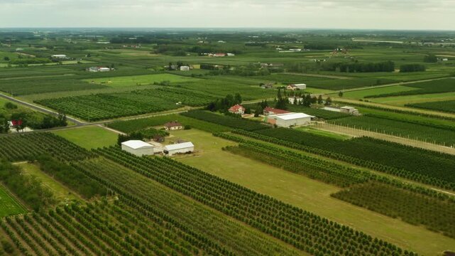 Green agricultural fields and fruit orchards stretch across the countryside. Neat rows of farm crops surround traditional residential houses and large industrial buildings on a summer day.