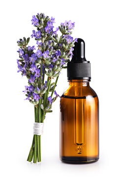 Bouquet of lavender and a bottle of lavender essential oil isolated on a white background. With clipping path.