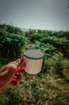 Morning Coffee in Vintage Campervan with Fern Forest View &ndash; Van Life Lifestyle