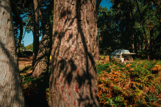 Campervan Hidden in Autumn Fern Forest at Golden Hour &ndash; Wild Camping