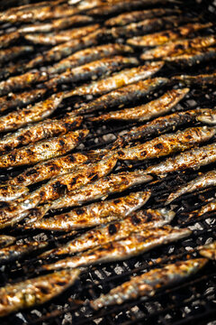 Grilled Sardines Close-Up on Charcoal BBQ &ndash; Traditional Spanish Seafood