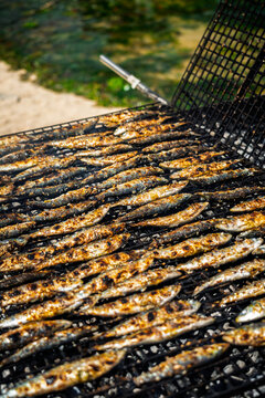 Grilled Sardines Close-Up on Charcoal BBQ &ndash; Traditional Spanish Seafood