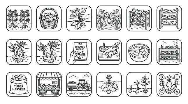 Line art icons depicting the cultivation, harvest, processing, and sale of various root vegetables and tubers.