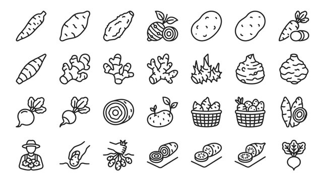 A comprehensive set of line art icons depicting various root vegetables, tubers, and related agricultural activities.