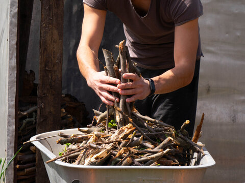 Man hands stacking a bundle of cut dry tree branches from a garden wheelbarrow closeup