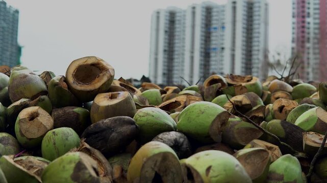 Detailed shot of tropical coconut shells arranged together outdoors.