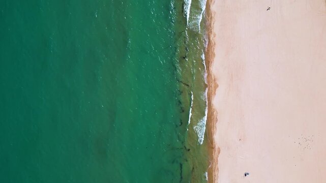 Top Down Aerial View of Waves Crashing on Sandy Beach