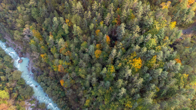 Vibrant top-down aerial view of turquoise mountain river cutting through colorful autumn forest foliage in Vajont valley, Italy.